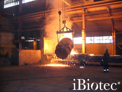 TEC INDUSTRIES fabricant de solvants industriels alternatifs pour le remplacement des CMR propose une gamme &eacute;tendue. Substituts au dichlorom&eacute;thane, &agrave; l&rsquo;ac&eacute;tone, au xyl&egrave;ne, au tolu&egrave;ne. Solvants sans pictogramme de danger, sans COV, sans PRP. Solvants biod&eacute;gradables. Solvants verts biosourc&eacute;s .